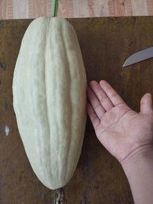 叶瑄吃瓜,揭秘娱乐圈幕后故事