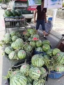 阳谷最新吃瓜事件,揭秘背后惊人真相