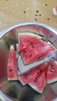 至今不敢吃的瓜,那些至今让人闻之色变的禁忌瓜果之谜