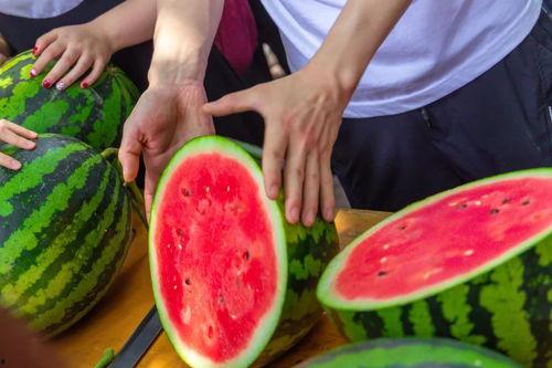 福建高校吃瓜群,校园热点一网打尽，青春记忆里的欢声笑语