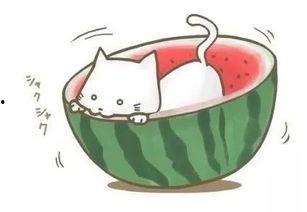 吃瓜的雪球球,探寻瓜界新宠儿的魅力所在