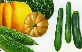 伊恩吃瓜,揭秘娱乐圈幕后故事