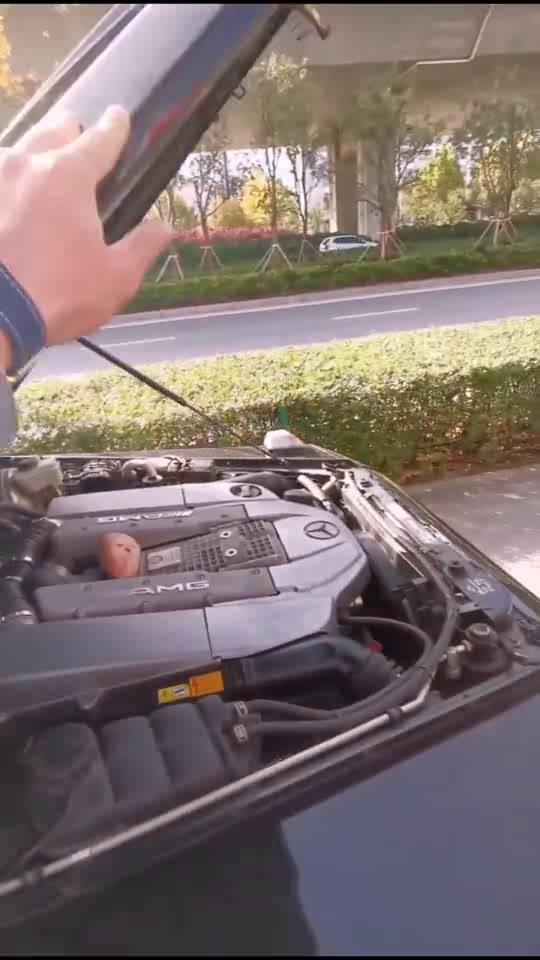 吃瓜就吃奔驰牌,探寻奔驰牌瓜果的独特魅力