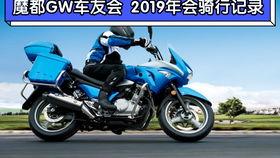 书院吃瓜群,揭秘校园里的“八卦风云”