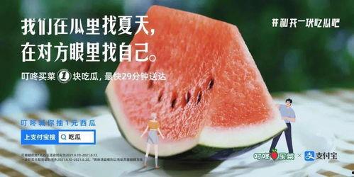 在哪里吃瓜最全面,全球各地吃瓜圣地大盘点