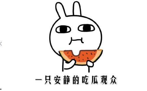 吃瓜事件大全集